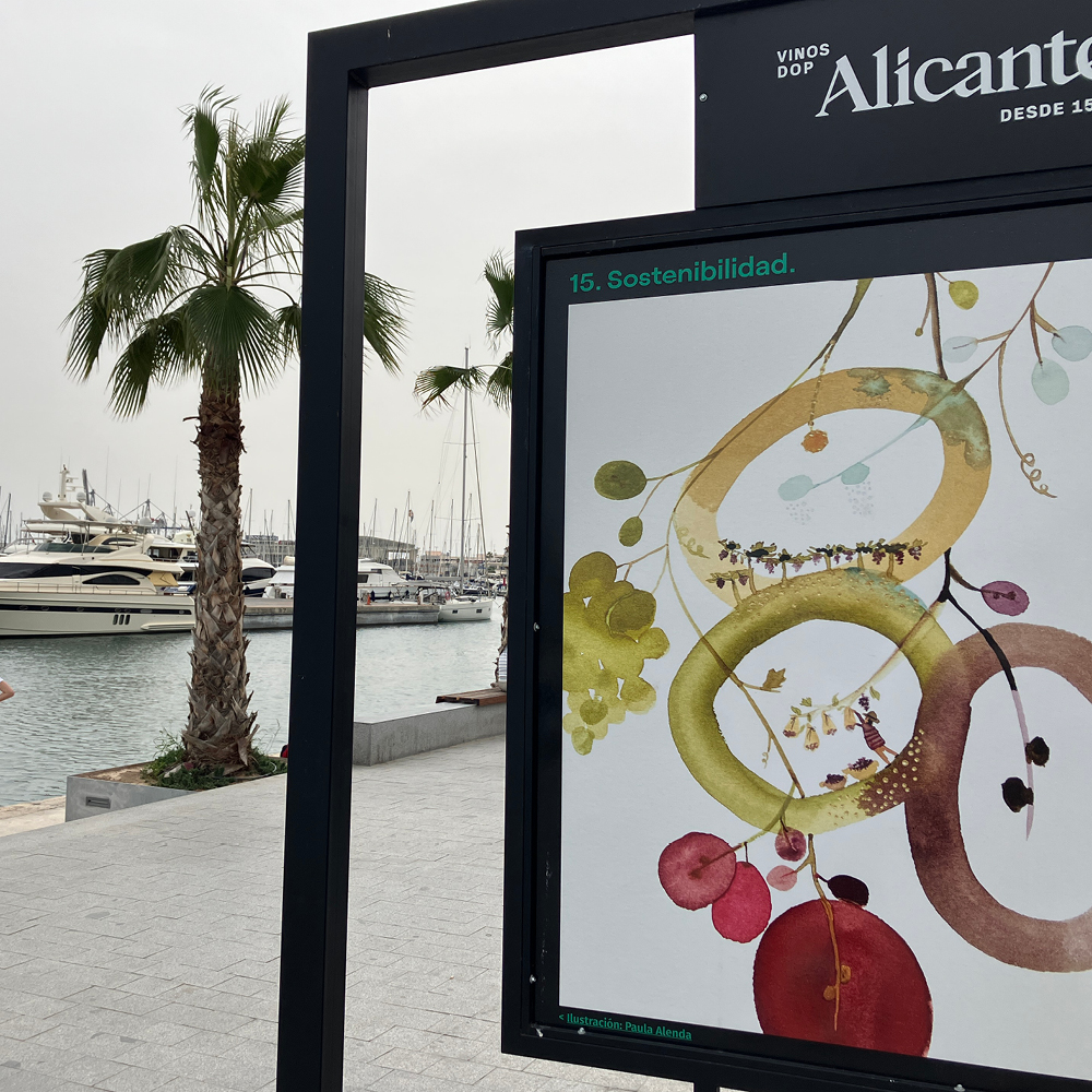 3000 años de vino en Alicante